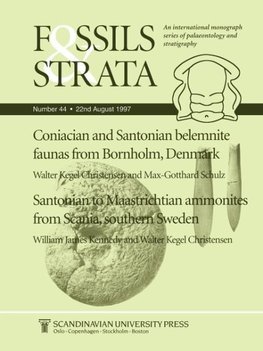 Coniacian and Santonian Belemnite