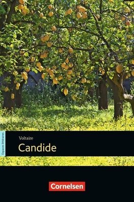 B2 - Candide