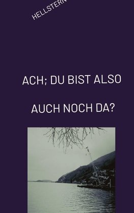 ACH; DU BIST ALSO AUCH NOCH DA?