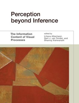 Perception beyond Inference