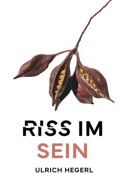 Riss im Sein