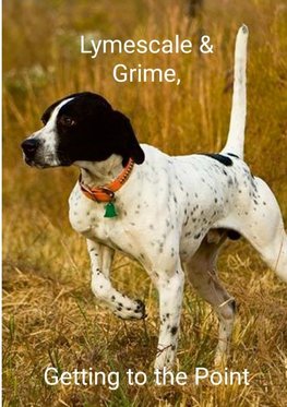 Lymescale & Grime, Getting to the Point