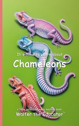 It's Time to Learn about Chameleons