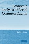Economic Analysis of Social Common Capital