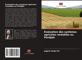 Évaluation des systèmes agricoles rentables au Pendjab