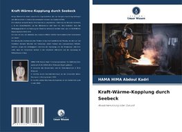 Kraft-Wärme-Kopplung durch Seebeck