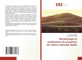 Morphologie et architecture du pistachier de l'Atlas à Messâd, Djelfa