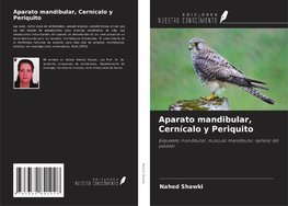 Aparato mandibular, Cernícalo y Periquito