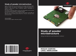 Study of powder microstructure