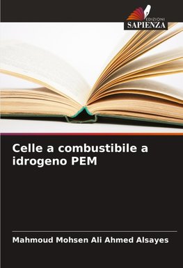 Celle a combustibile a idrogeno PEM