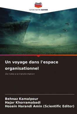 Un voyage dans l'espace organisationnel