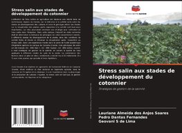 Stress salin aux stades de développement du cotonnier