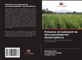 Présence et isolement de Gluconacetobacter diazotrophicus