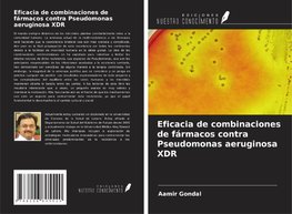 Eficacia de combinaciones de fármacos contra Pseudomonas aeruginosa XDR