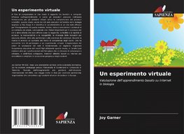Un esperimento virtuale