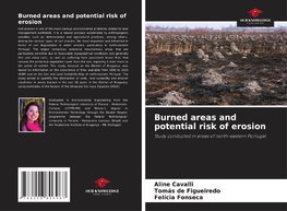 Burned areas and potential risk of erosion