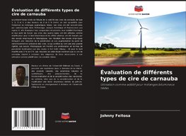 Évaluation de différents types de cire de carnauba
