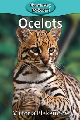 Ocelots