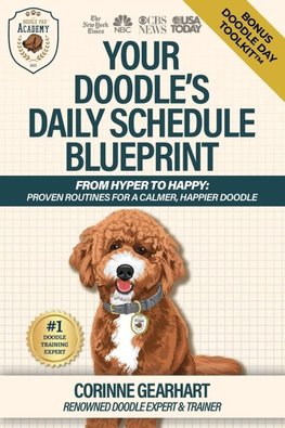 Your Doodle's Daily Schedule Blueprint
