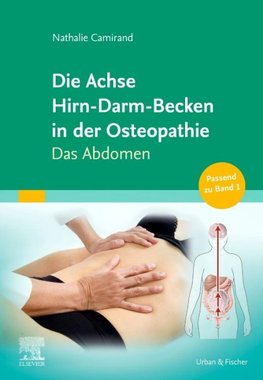 Die Achse Hirn-Darm-Becken in der Osteopathie