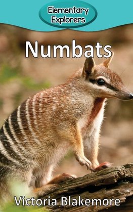 Numbats
