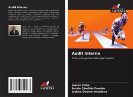 Audit interno