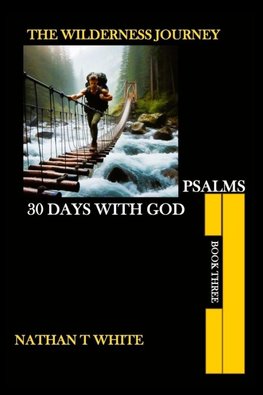 THE WIDERNESS JOURNEY BOOK THREE