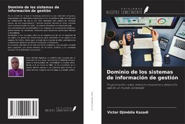 Dominio de los sistemas de información de gestión
