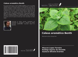 Coleus aromático Benth
