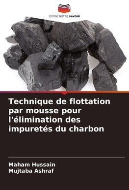 Technique de flottation par mousse pour l'élimination des impuretés du charbon