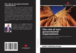 The role of non-governmental organizations