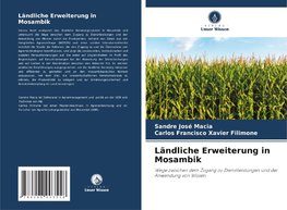 Ländliche Erweiterung in Mosambik