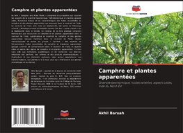 Camphre et plantes apparentées