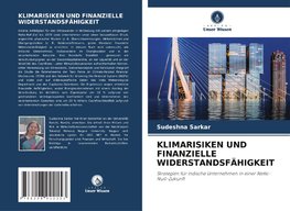 KLIMARISIKEN UND FINANZIELLE WIDERSTANDSFÄHIGKEIT