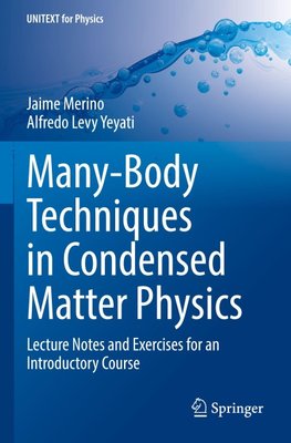 Many-Body Techniques in Condensed Matter Physics