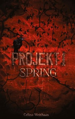 Spring - Projekt I