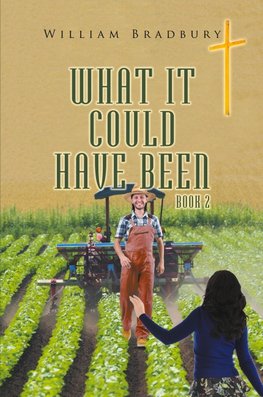 What It Could Have Been Book 2