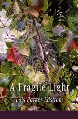 A Fragile Light