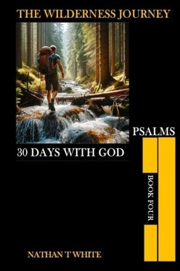 THE WILDERNESS JOURNEY BOOK FOUR
