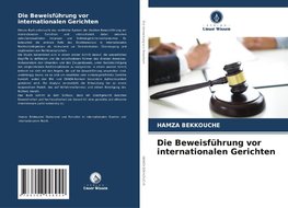 Die Beweisführung vor internationalen Gerichten