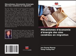 Mécanismes d'économie d'énergie des oies cendrées en migration