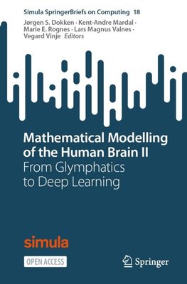 Mathematical Modelling of the Human Brain II