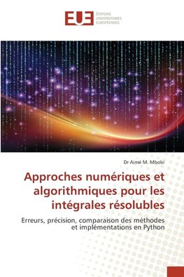 Approches numériques et algorithmiques pour les intégrales résolubles