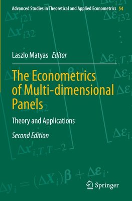 The Econometrics of Multi-dimensional Panels