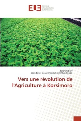 Vers une révolution de l'Agriculture à Korsimoro