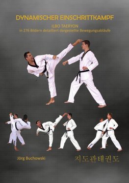 Dynamischer Einschrittkampf Ilbo Taeryon