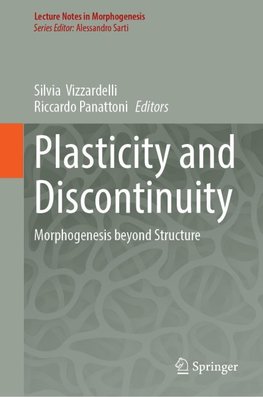 Plasticity and Discontinuity