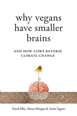Why Vegans Have Smaller Brains