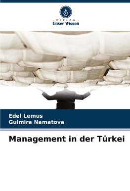 Management in der Türkei