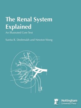 The Renal System Explained